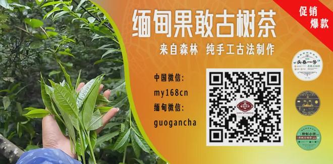 2026中国网络媒体足球精英赛圆满闭幕